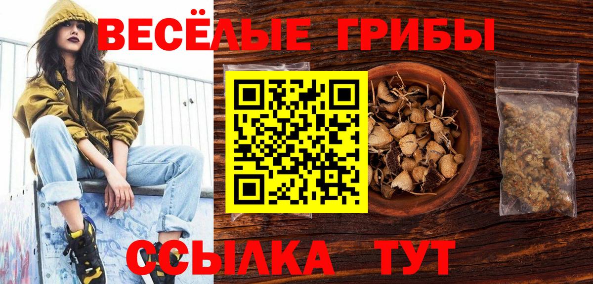 Галлюциногенные грибы Cubensis  Вход с VPN  где продают   Ишим  Псилоцибиновые грибы мицелий 