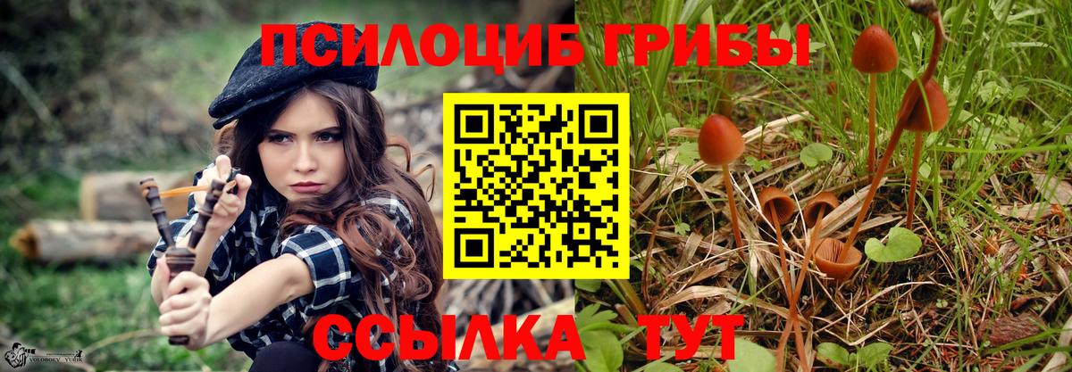 Псилоцибиновые грибы прущие грибы Ишим
