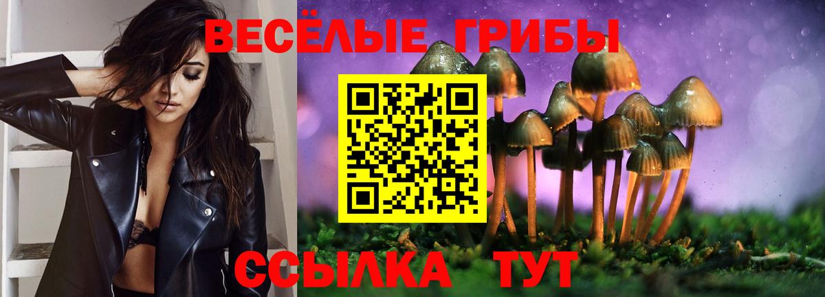 Канабис  Ишим  Вход с VPN  Хэш  Масло THC  Марки  Меф  Где купить наркотики?  Мяу-Мяу  АМФ  MDMA  A PVP  Кокаин 